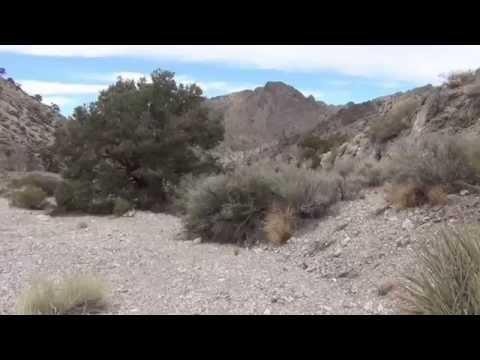 Video titled: M Cave Hike